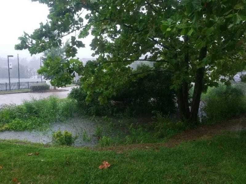 Villanova researchers say rain gardens can be an effective tool for managing stormwater