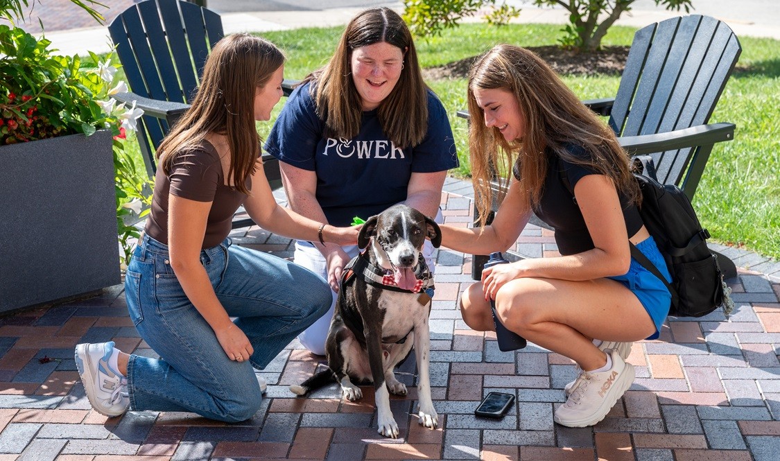 Two students and a POWER member pet Villanova's therapy dog, Oliver