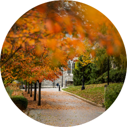 CSP277_20221026_0156_circle