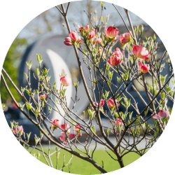 CSP552_20220420_0345