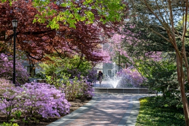 Eye-catching flowering plants dot the landscape around Villanova's fountain