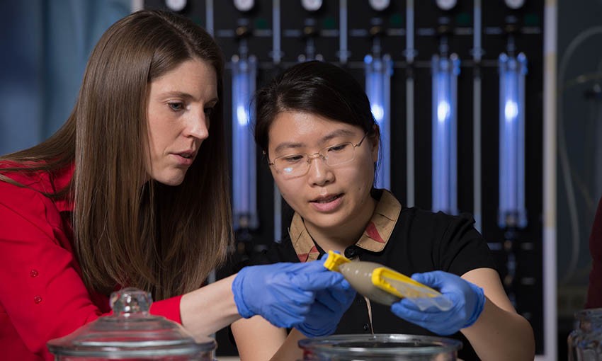 Two researchers in laboratory