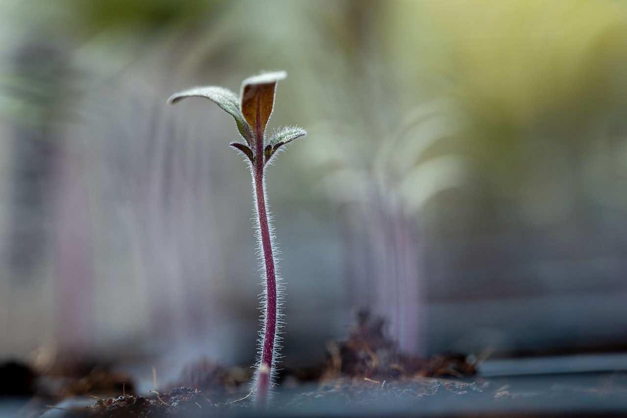 Students in business attire walking in Philadelphia.