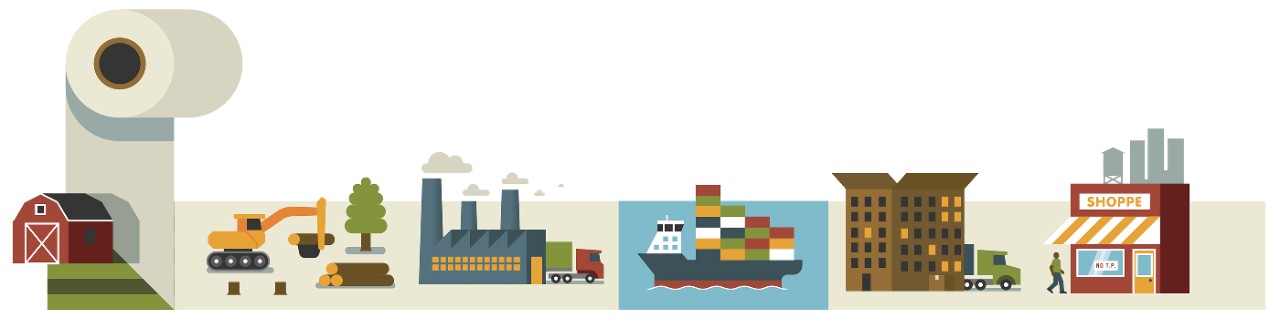 illustration of the various stages of the toilet paper supply chain